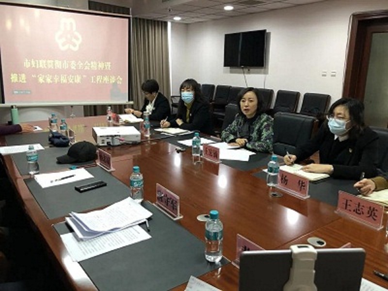 齐市妇联召开贯彻市委全会精神暨推进“家家幸福安康”工程座谈会(图1)